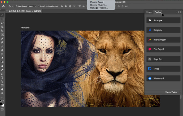 Adobe Photoshop 