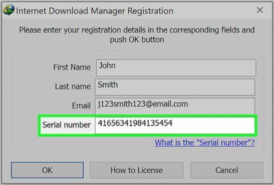 Internet Download Manager