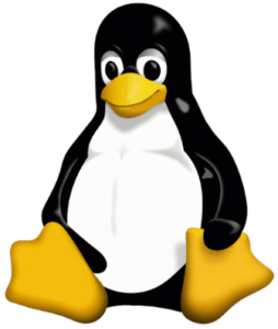 Linux Kernel